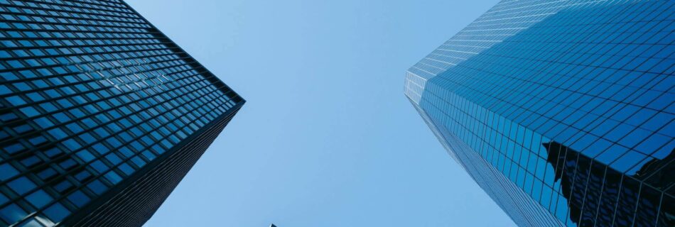 pexels laura tancredi 7078666